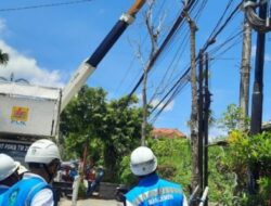 Sepanjang 2025, PLN Pastikan Layanan Listrik Andal dan Berkualitas Dukung Aktivitas Masyarakat Bali