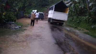 pupuan1.1