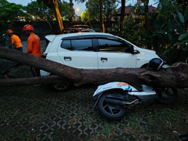 whatsapp image 2026 01 11 at 20.29.45