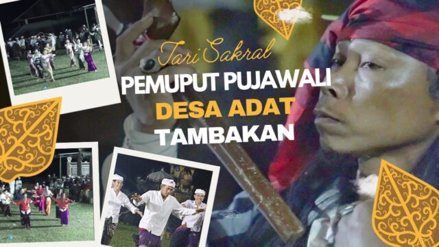 whatsapp image 2026 02 17 at 12.16.57