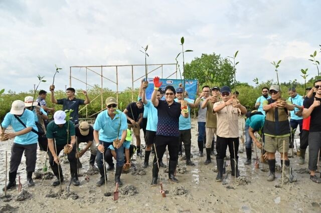 mangrove wagub