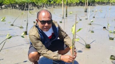 SMSI Bali Siapkan Aksi Tanam 1.000 Mangrove di Tahura Ngurah Rai