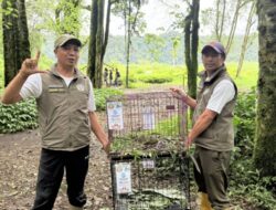 BKSDA Bali Lepasliarkan 8 Satwa Dilindungi di Kawasan TWA Danau Buyan–Tamblingan