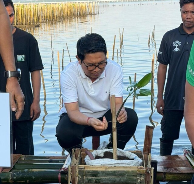 bupati mangrove