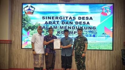 sinergi