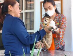 Dinas Pertanian Buleleng Perkuat Layanan Vaksin Rabies di Puskeswan