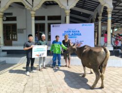 Pelindo Celukan Bawang Tebar Kepedulian, Salurkan Hewan Kurban Sambut Iduladha 1447 H