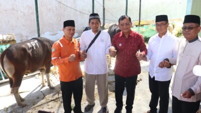 sapi