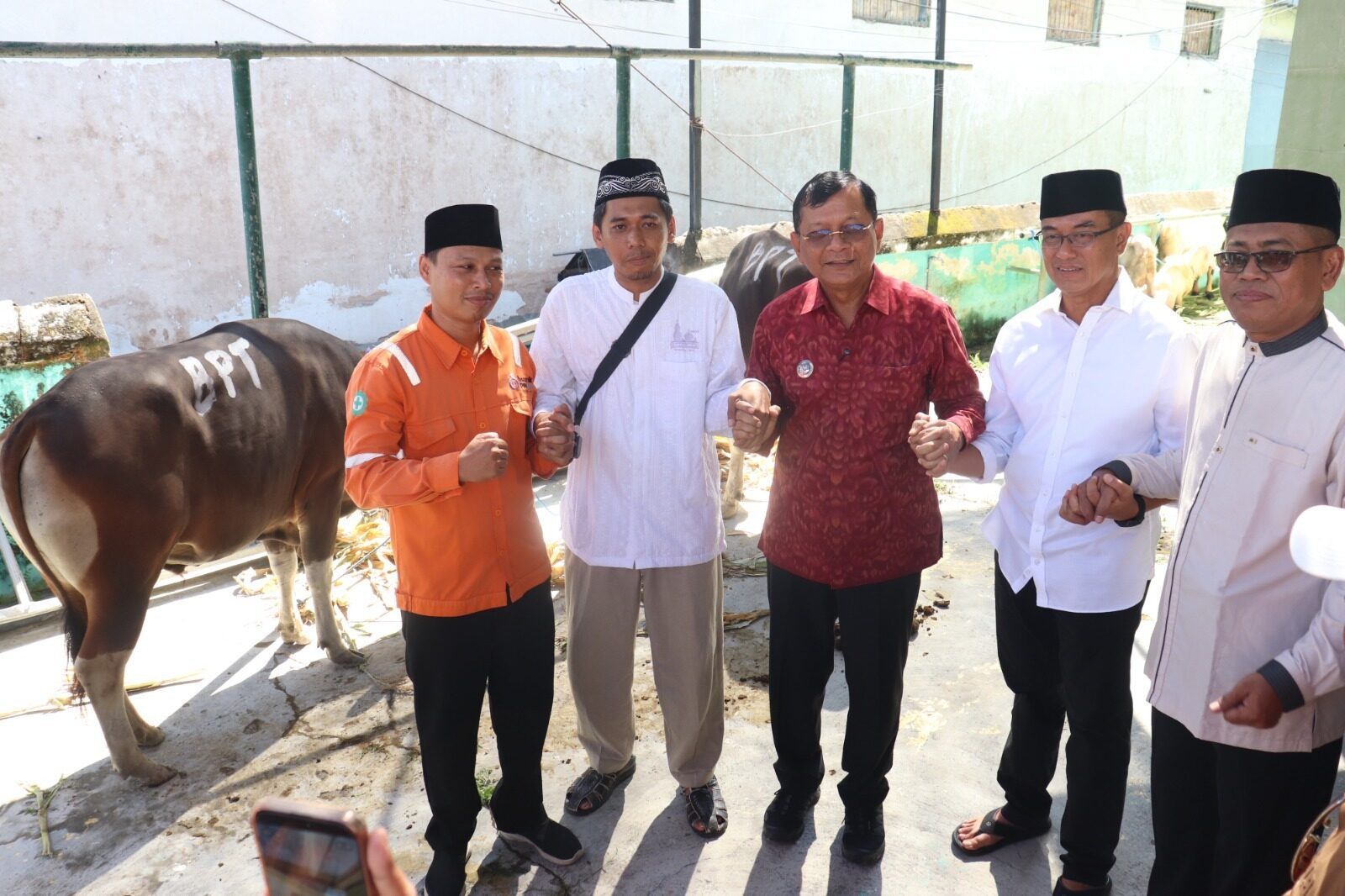 sapi