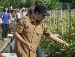 TPID Badung Pantau Harga Jelang Idul Adha, Galungan dan Kuningan di Sejumlah Sentra Pangan