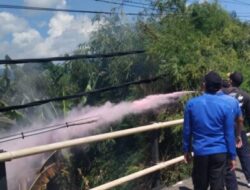 PLN Bersama Polisi dan Damkar Sigap Tangani Kebakaran yang Merembet ke Kabel Listrik di Seririt