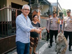 Dari Walkout ke ‘Bojog Ngeleb’, Kresna Budi Kini Bantu Evakuasi Monyet Piaraan Lepas