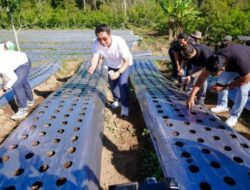 Bupati dan Wabup Badung Genjot Potensi Kopi di Agro Techno Park, Petang