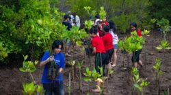 FINNS Bali Gandeng BYPW Pulihkan Pesisir Bali Lewat Penanaman 1.200 Mangrove