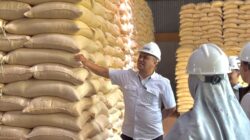 BULOG Bali Pastikan Stok Beras Aman hingga 10 Bulan, Serapan Gabah Petani Lampaui Target