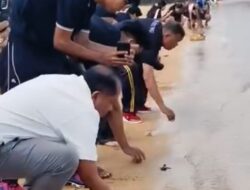 Ketua Komisi II DPRD Badung Hadiri Kegiatan Pengabdian kepada Masyarakat di Pulau Penyu