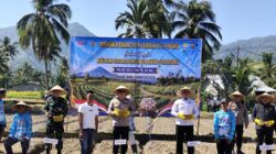 Polres Buleleng Tanam Bawang Putih di Kubutambahan, Dorong Kurangi Ketergantungan Impor