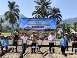 Polres Buleleng Tanam Bawang Putih di Kubutambahan, Dorong Kurangi Ketergantungan Impor