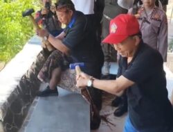 Tiga Bangunan Vila di Hutan Pejarakan Dibongkar, Koster Tegaskan Izin Tak Lengkap