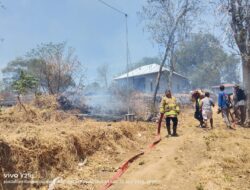 Kemarau dan Angin Kencang, Damkar Buleleng Minta Warga Tak Sepelekan Api