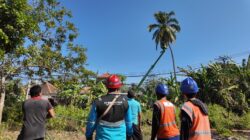 Cegah Bahaya Pohon Dekat Jaringan Listrik, PLN dan Pemdes Tukadmungga Bergerak