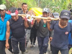 Ngusaba Desa Adat Kedis Rawat Tradisi Meboros dan Regenerasi Adat
