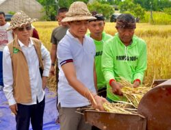 Padi Bridantara 8 Tembus 10,576 Ton per Hektare di Buleleng, Bantuan Alsintan Disalurkan